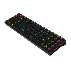 ROYAL KLUDGE RK71 70% RGB Wireless Mechanical Gaming Keyboard